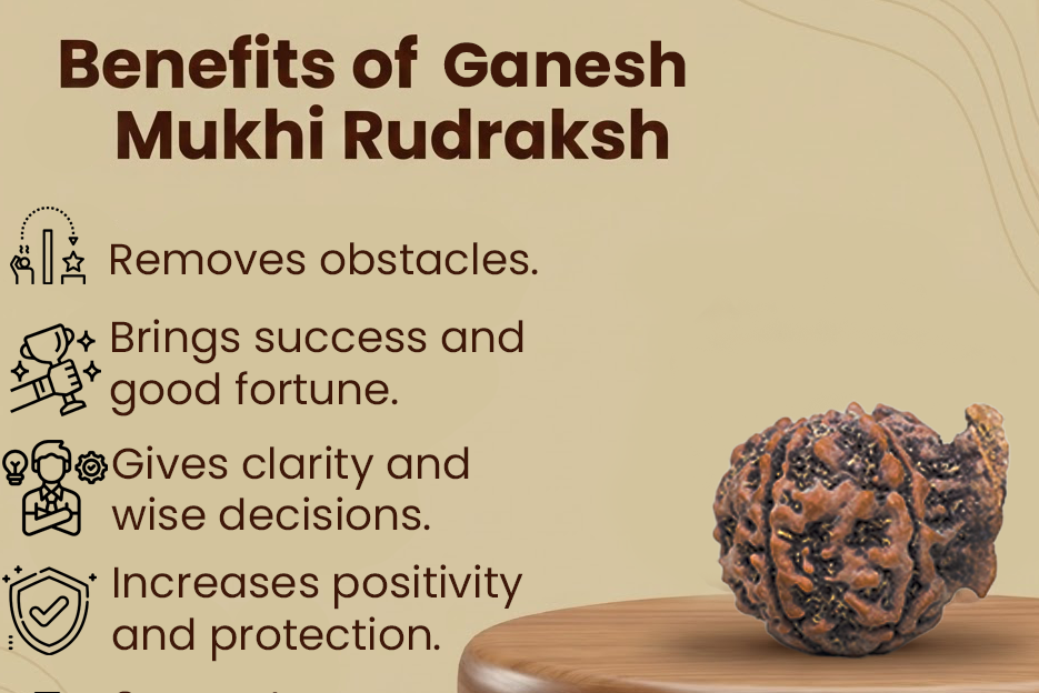Ganesh Rudraksh - Natural Joint