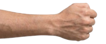 Brother's Wrist