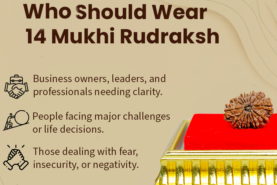 14 Mukhi Nepali Rudraksh: The Divine Gem (Deva Mani)