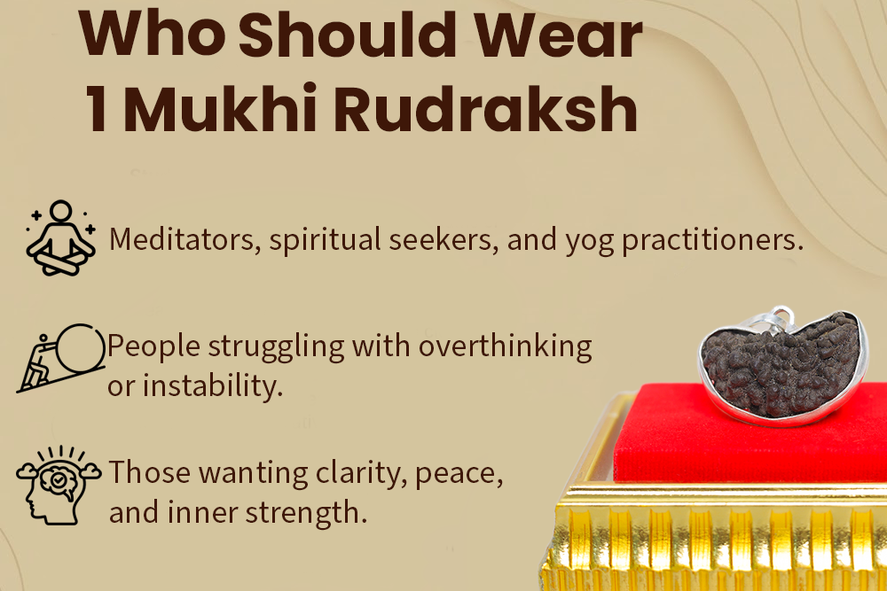 1 Mukhi Kaju Rudraksh (with capping)