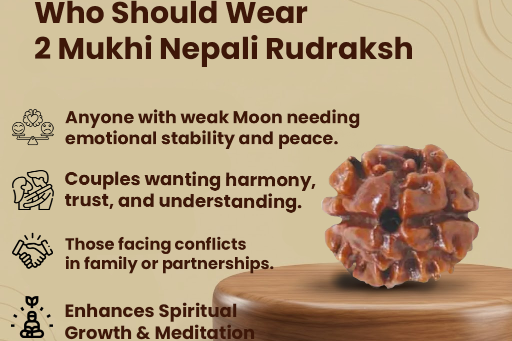 2 Mukhi Nepali Rudraksh- Unity and Harmony