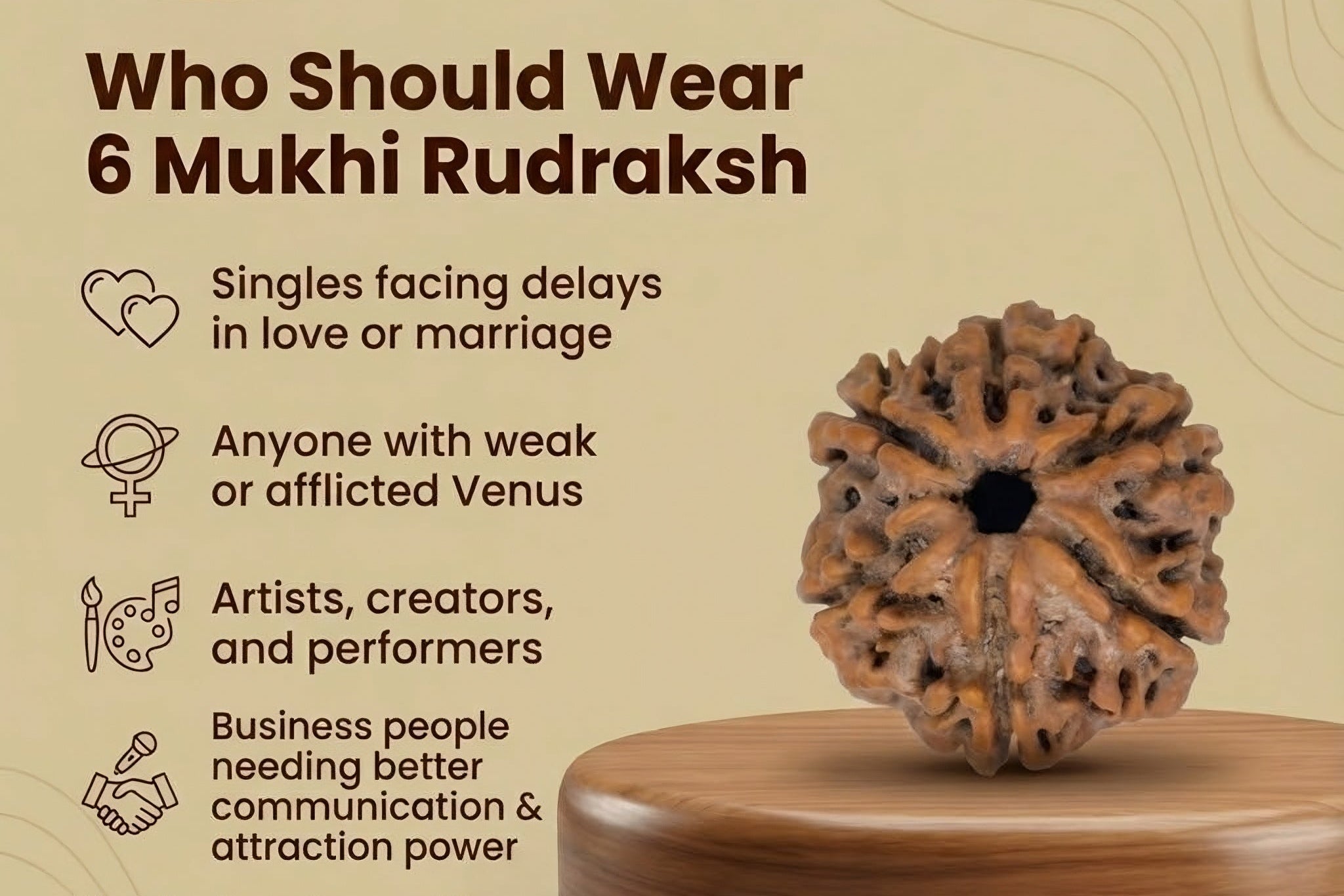 6 Mukhi Nepali Rudraksha: Focus & Willpower