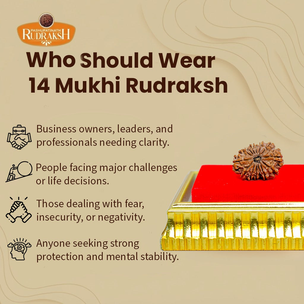 who shoud wear 14 mukhi rudraksh 