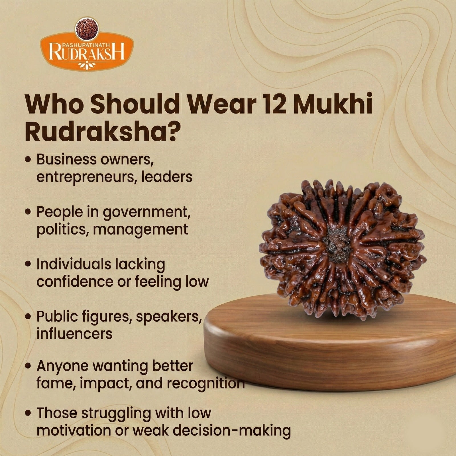 who should wear 12 mukhi rudraksh 