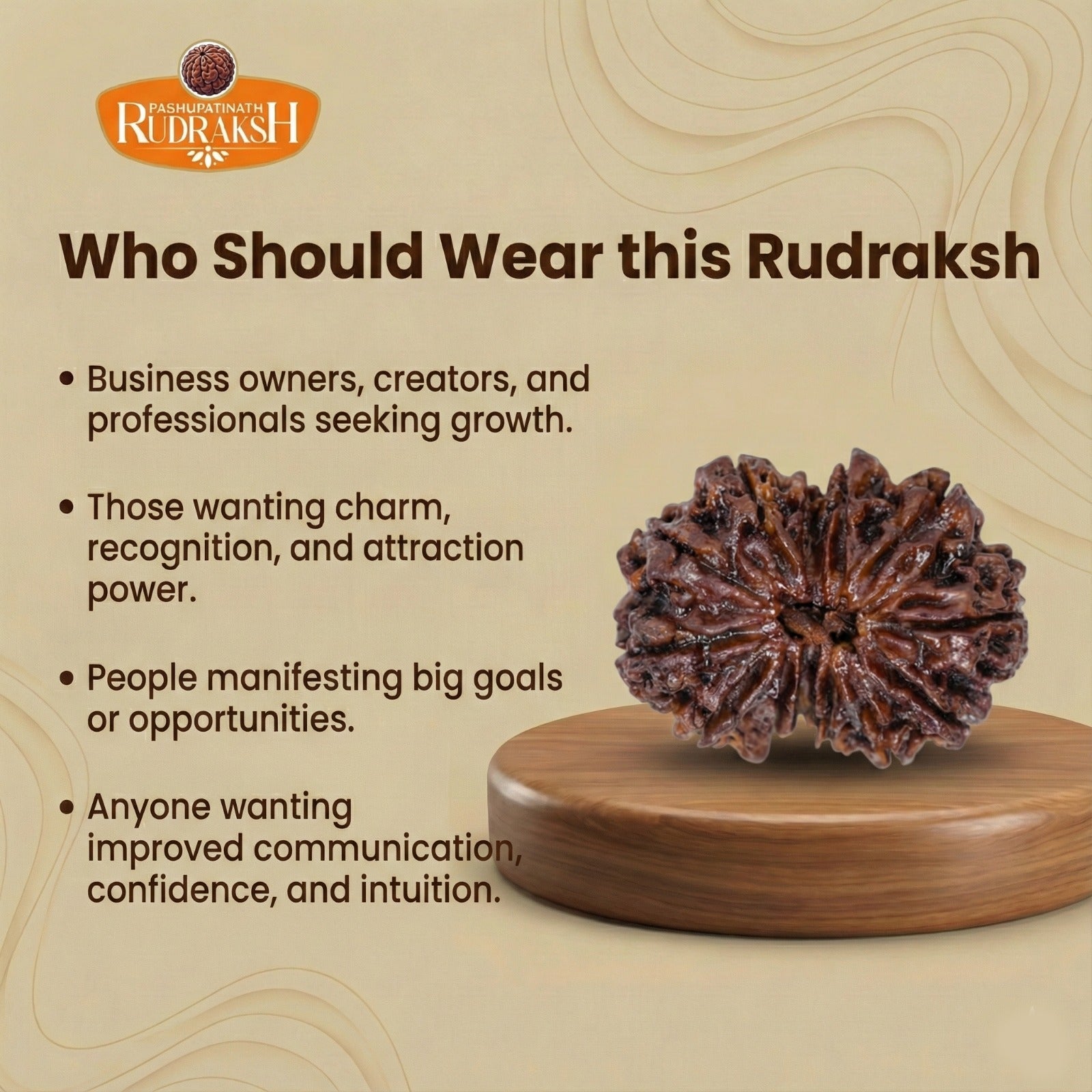 who should wear 13 mukhi rudraksh 