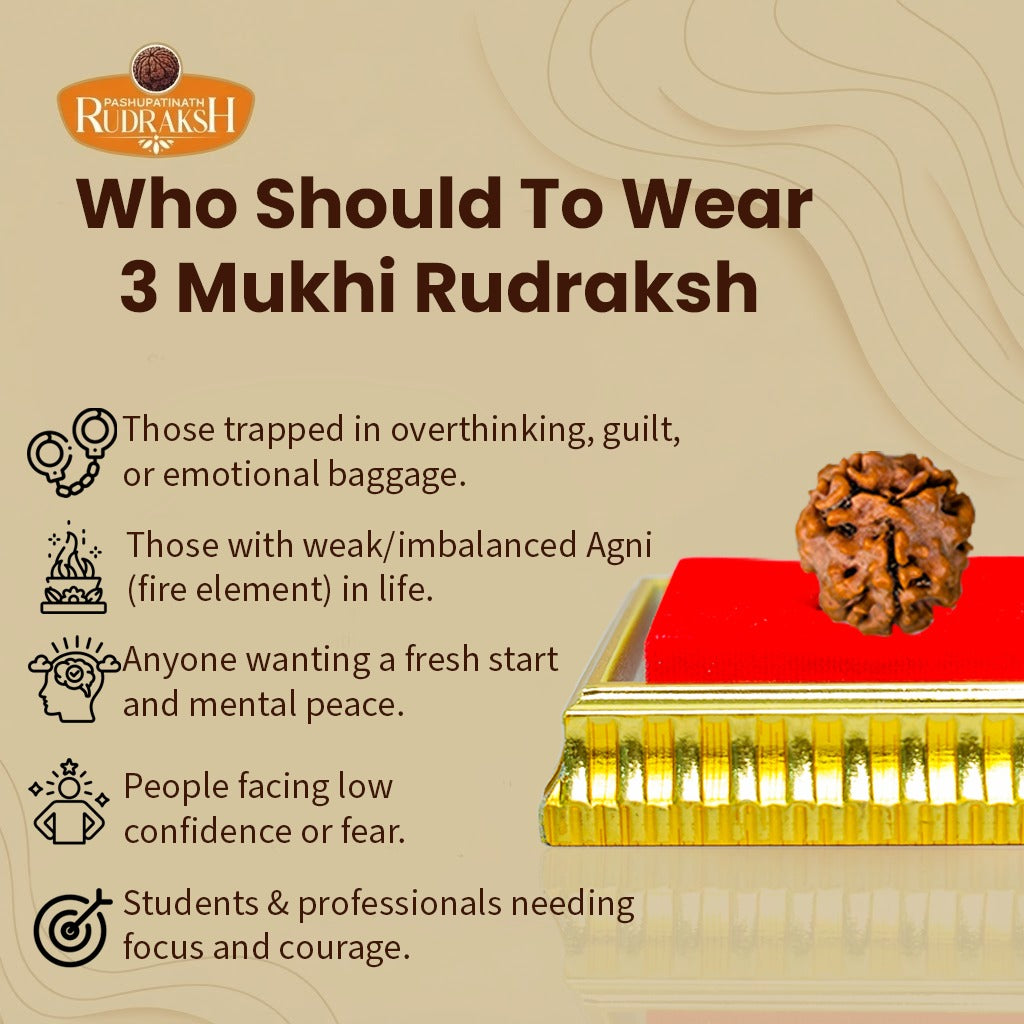 who should wear 3 mukhi rudraksh 