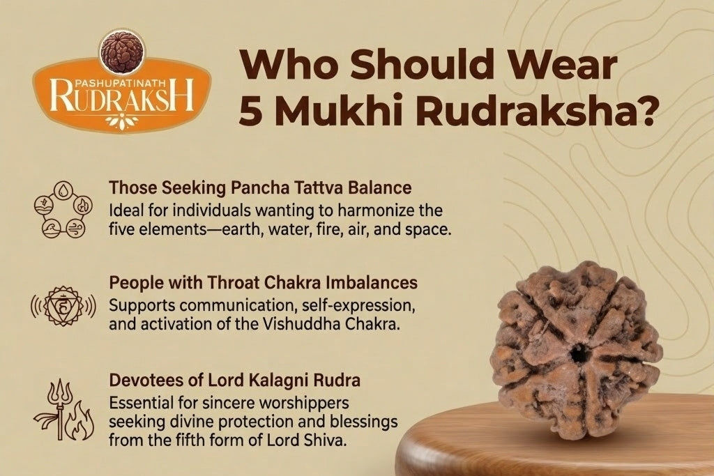 who should wear 5 mukhi rudraksh 