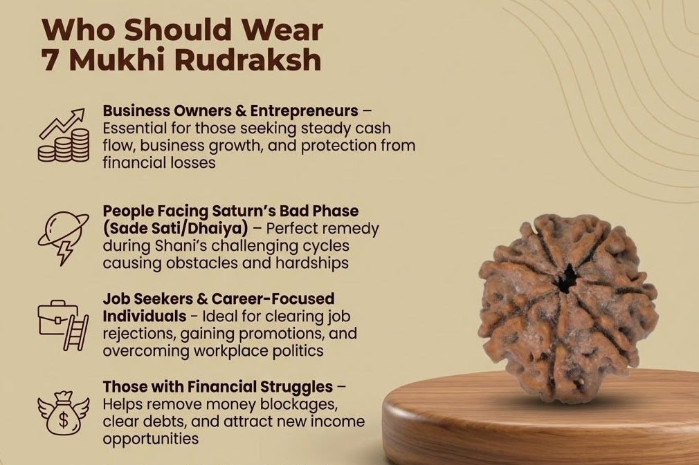 7 Mukhi Rudraksh Kon phan sakta hain 