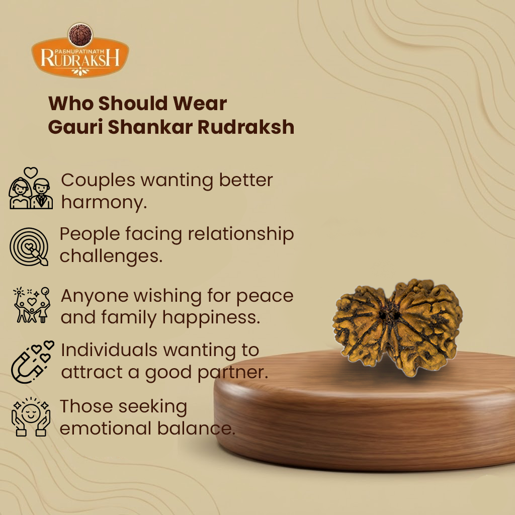 who should wear Gauri Shankar rudraksh 