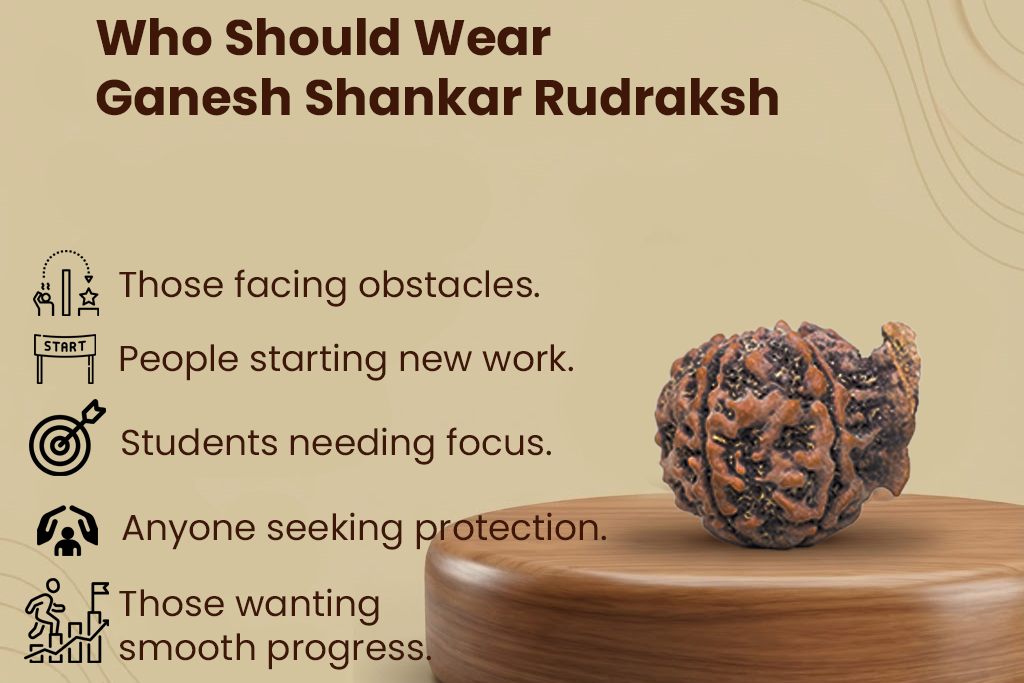 Ganesh Rudraksh - Natural Joint